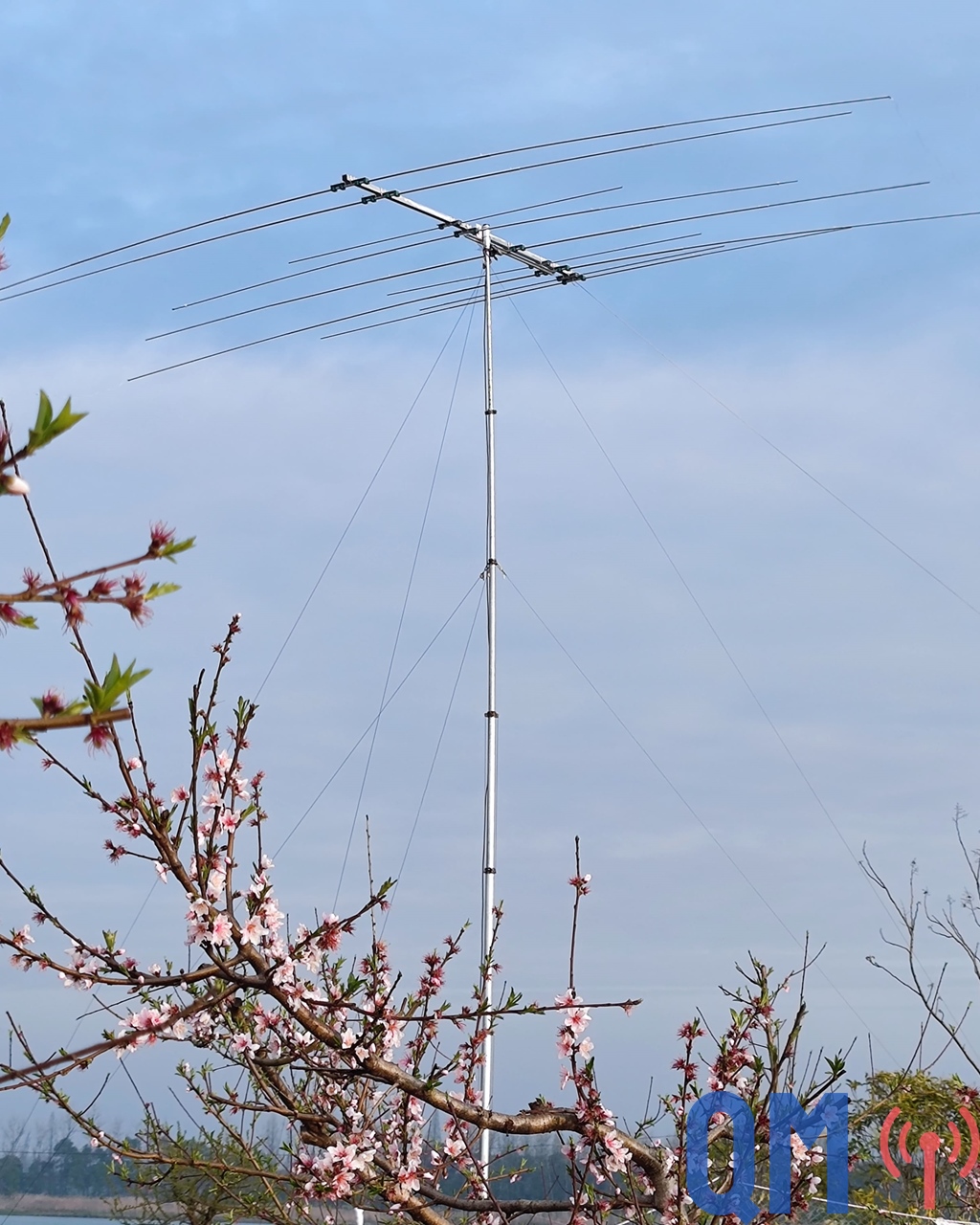 QM409L product photo